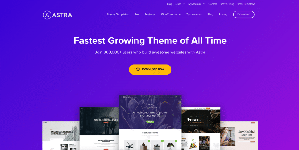 Tools That Professional Web Designers Use - 30+ Solutions Included 26 22. The Best and Most Popular WordPress Theme 2020