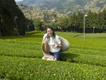 Elyse Petersen Tealet