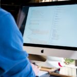 software developer