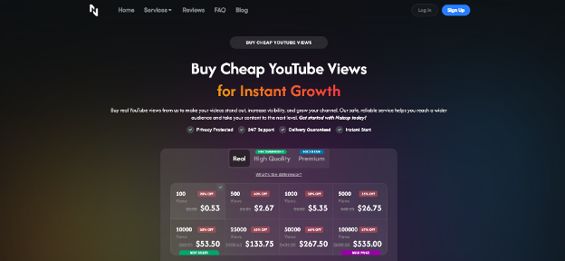 8 Best Sites to Buy YouTube Views (Real & Cheap) 5 Naizop
