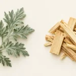 wormwood vs quassia extract