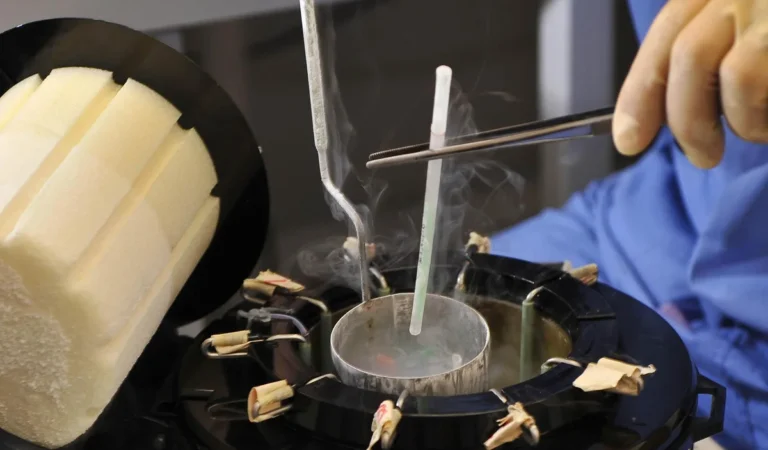 Is it possible to transport frozen embryos between different countries – Arkcryo.com